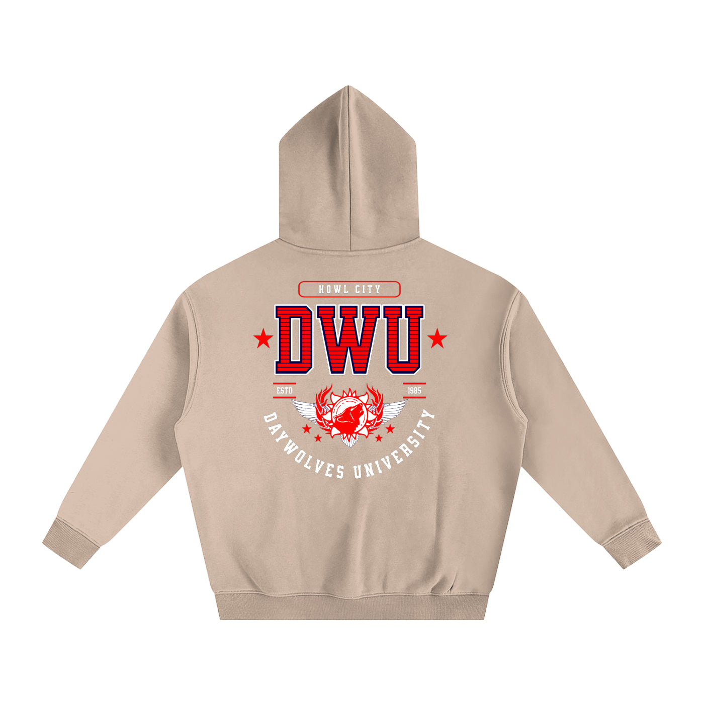 DW UNIVERSITY Oversize Hoodie