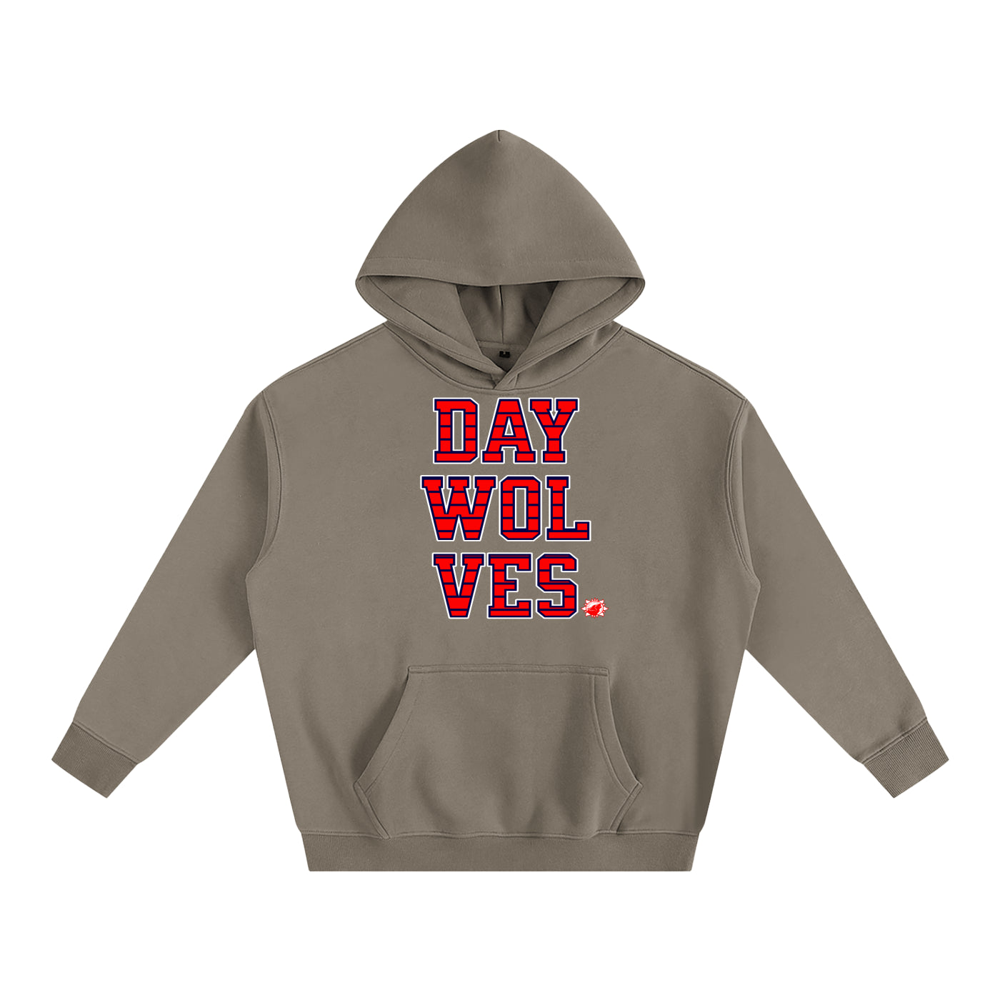DW UNIVERSITY Oversize Hoodie