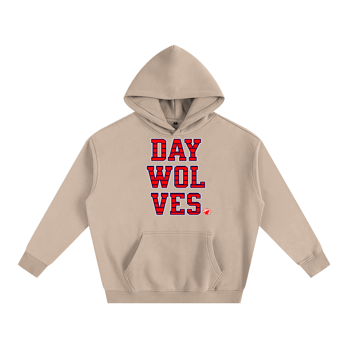DW UNIVERSITY Oversize Hoodie