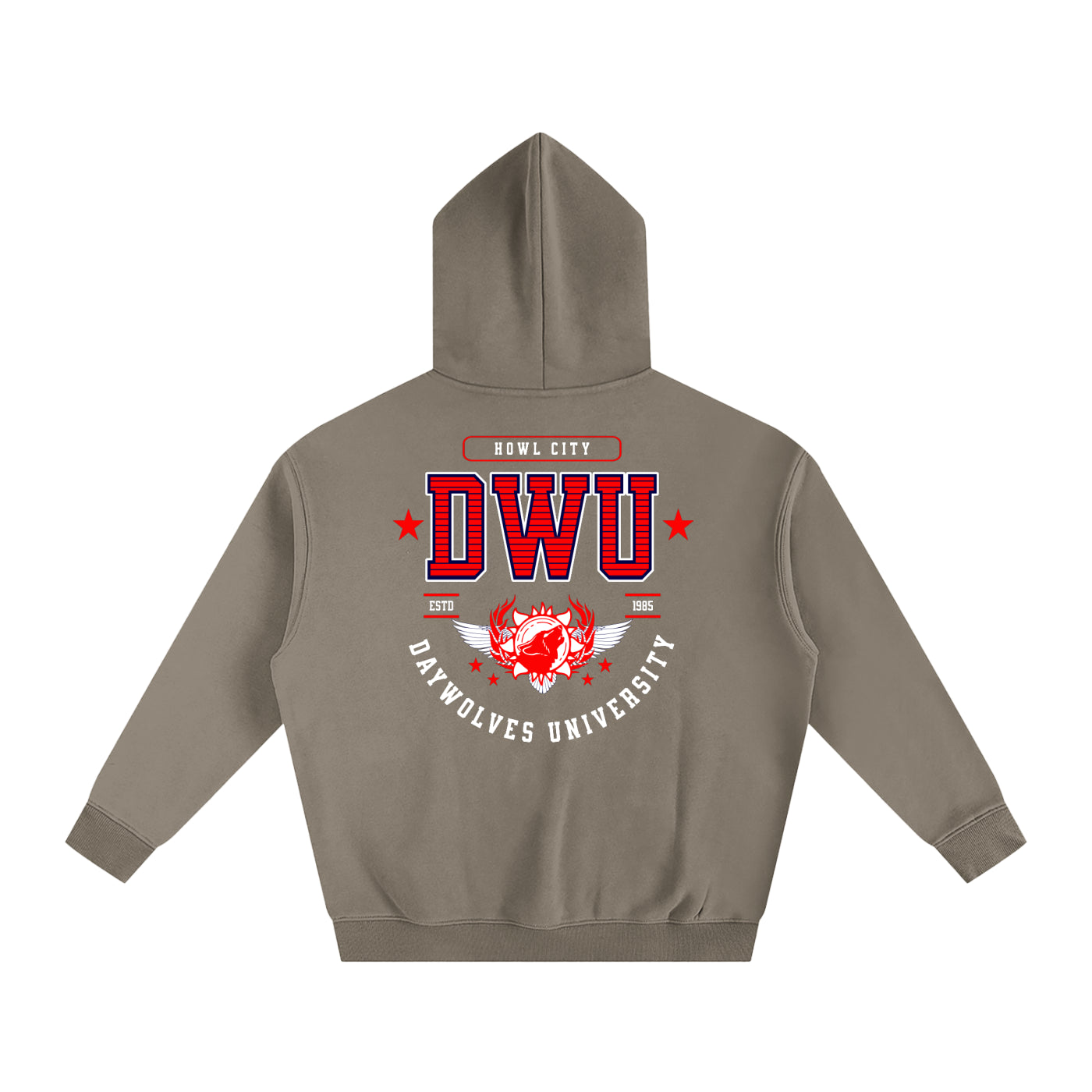 DW UNIVERSITY Oversize Hoodie