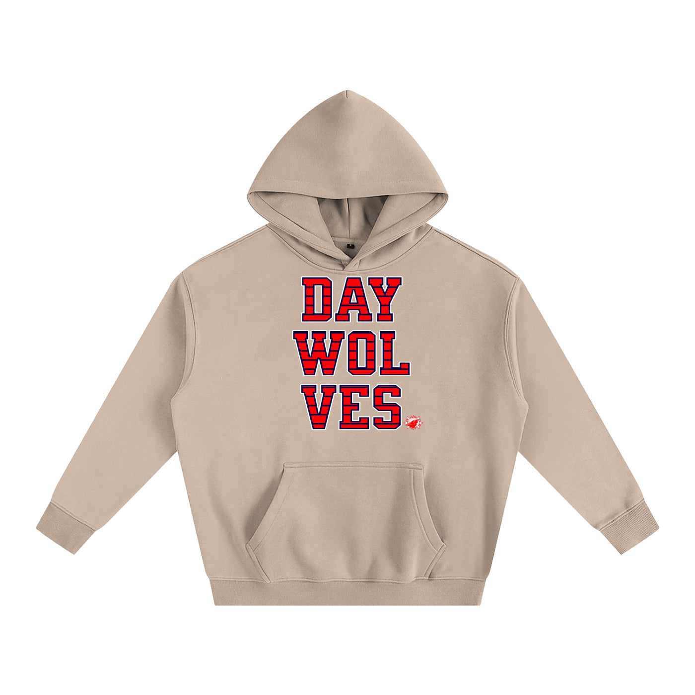 DW UNIVERSITY Oversize Hoodie