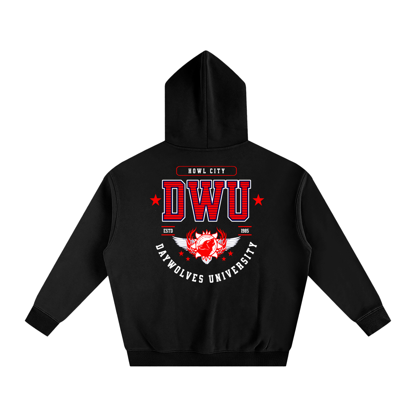 DW UNIVERSITY Oversize Hoodie