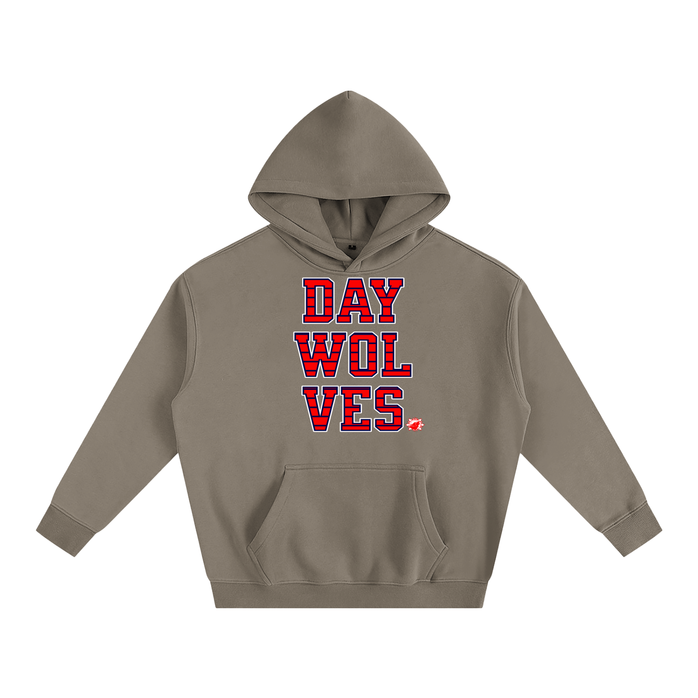 DW UNIVERSITY Oversize Hoodie
