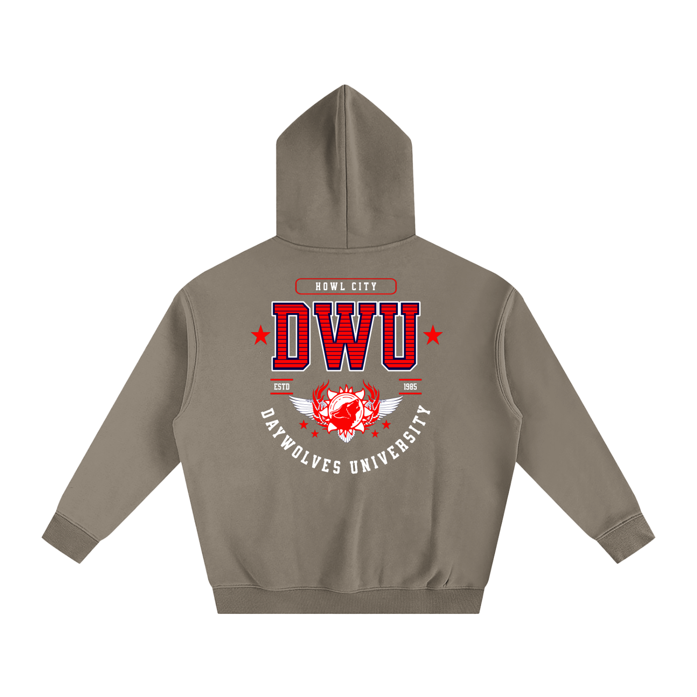 DW UNIVERSITY Oversize Hoodie
