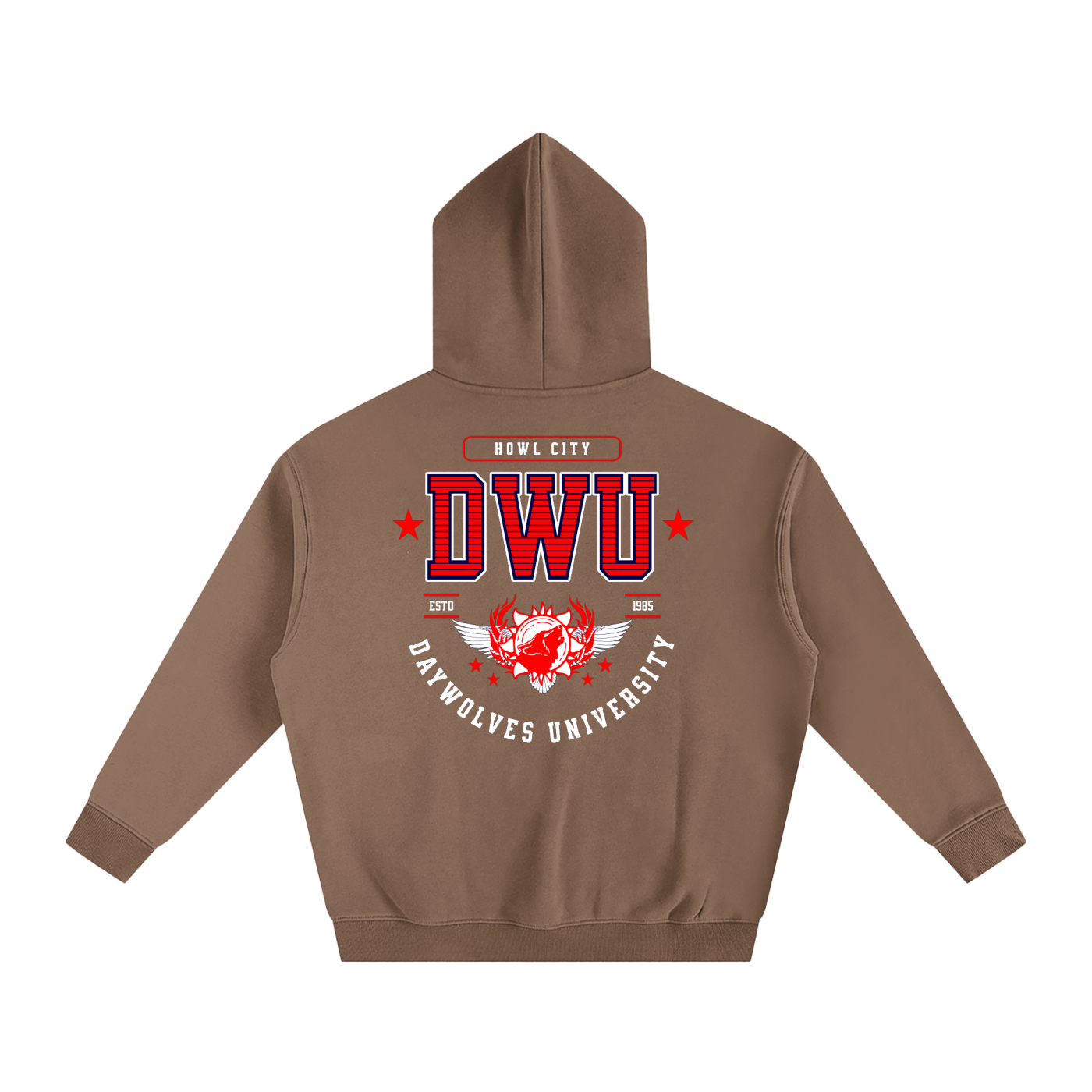 DW UNIVERSITY Oversize Hoodie