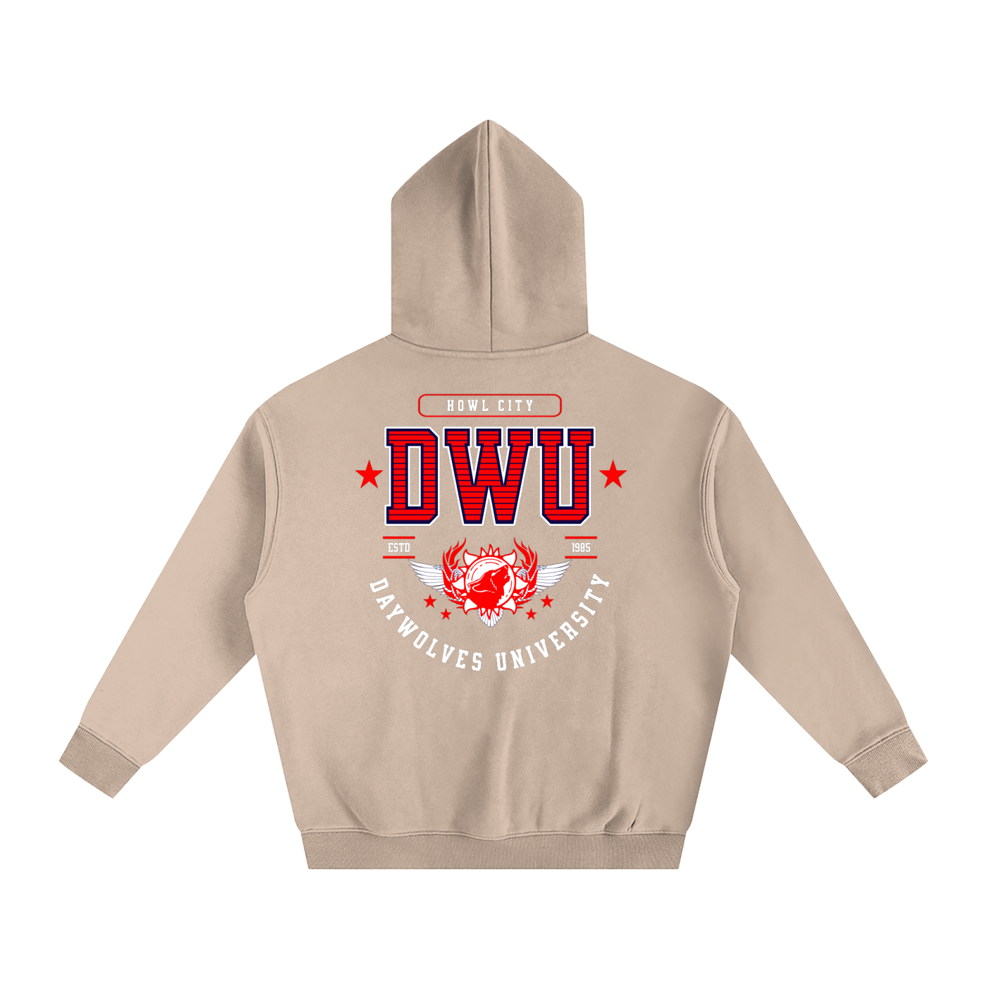 DW UNIVERSITY Oversize Hoodie