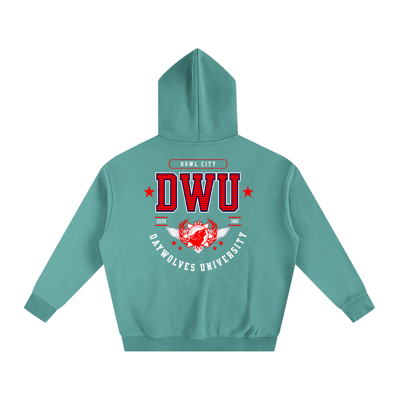 DW UNIVERSITY Oversize Hoodie