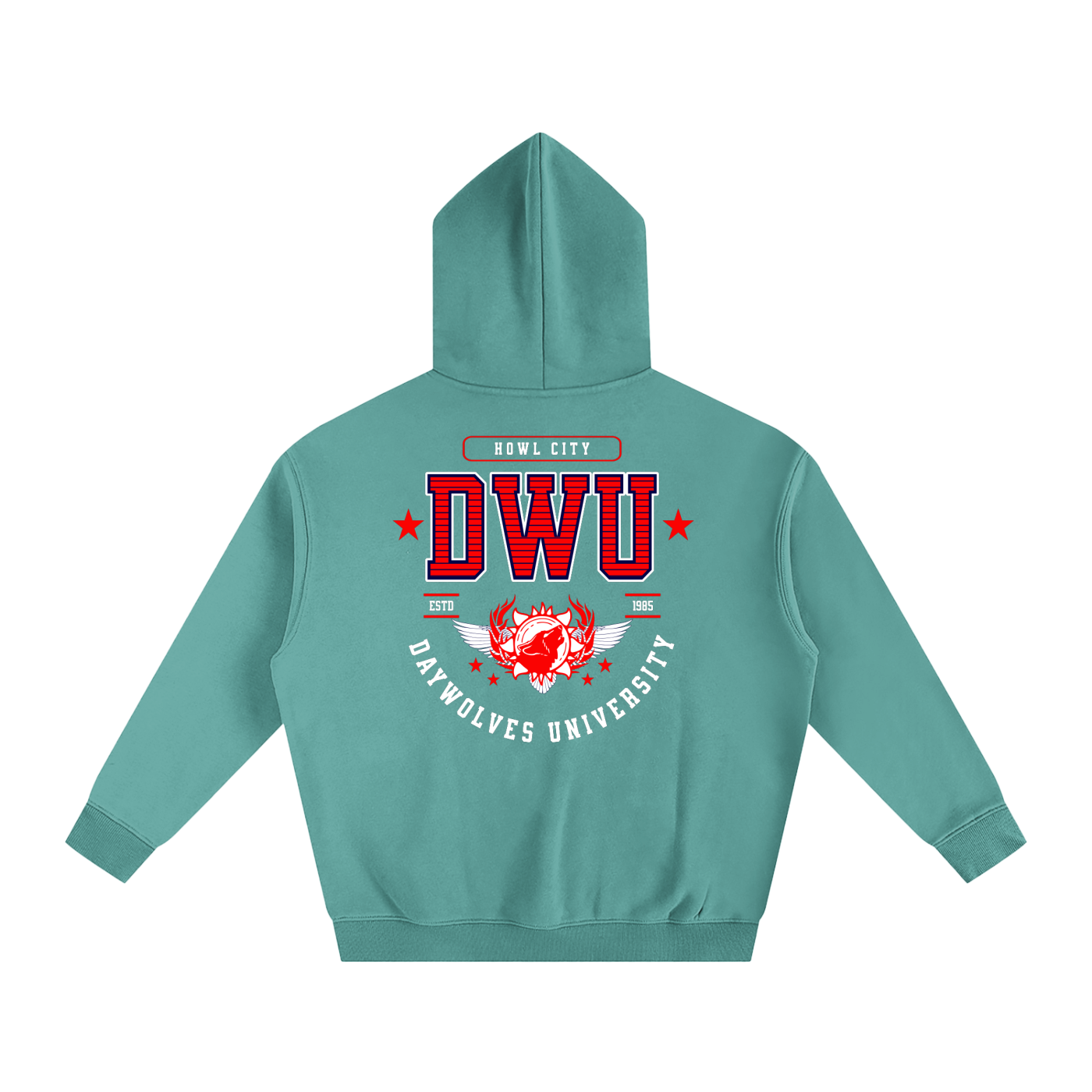 DW UNIVERSITY Oversize Hoodie