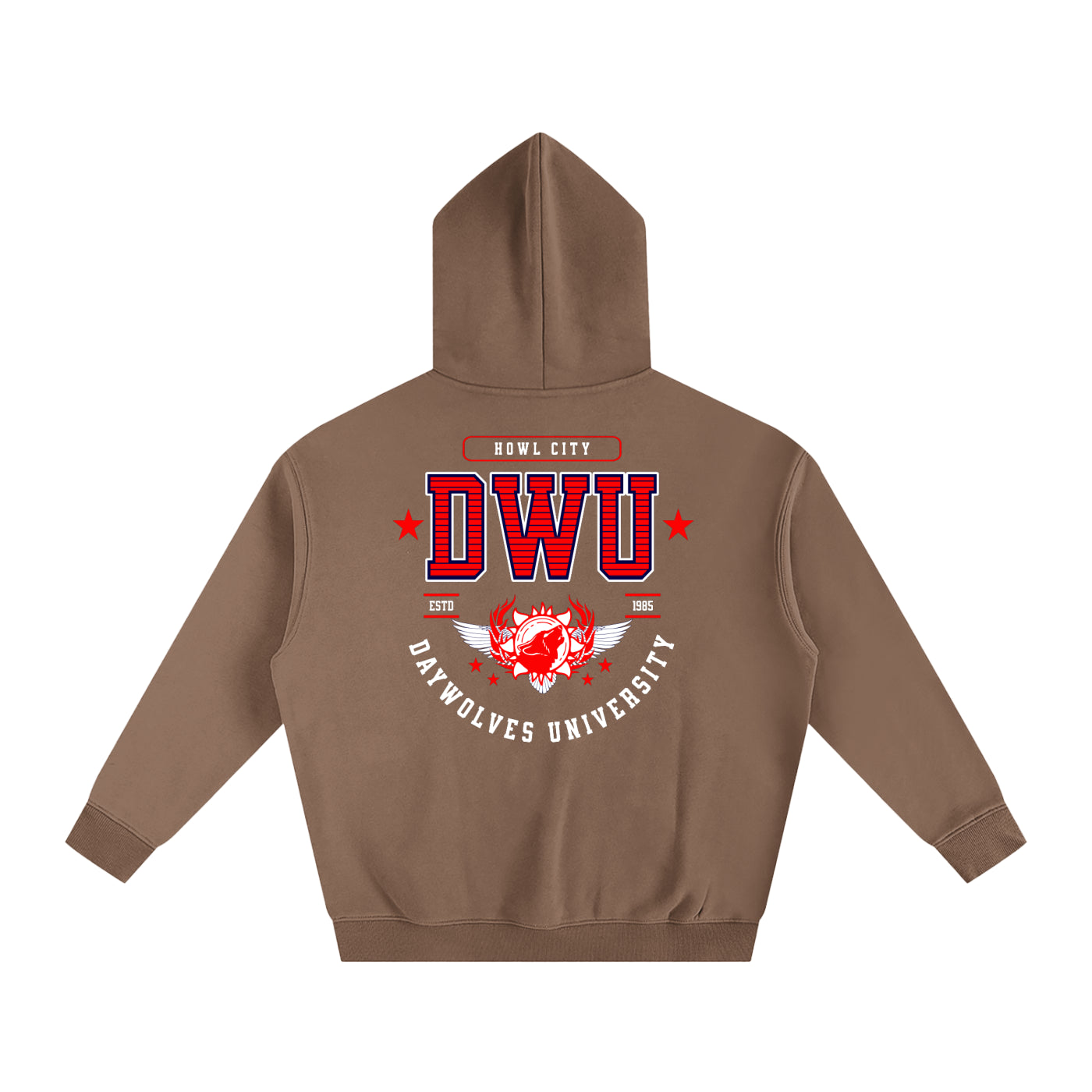 DW UNIVERSITY Oversize Hoodie